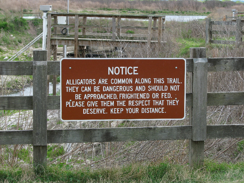 La-Chua-Trail-Paynes-Prairie-Preserve-State-Park-Gainesville-FL-019