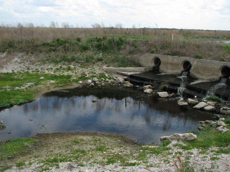 La-Chua-Trail-Paynes-Prairie-Preserve-State-Park-Gainesville-FL-020