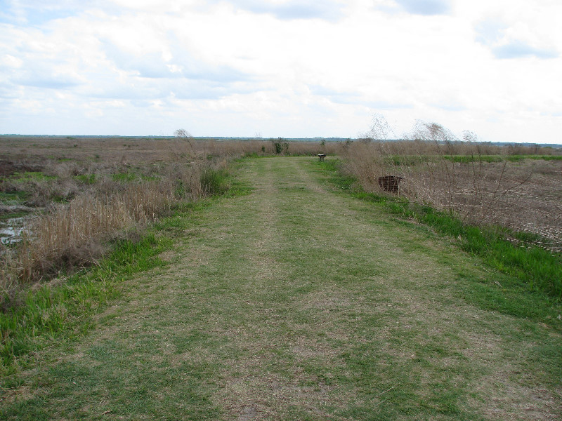 La-Chua-Trail-Paynes-Prairie-Preserve-State-Park-Gainesville-FL-058