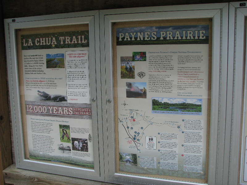 La-Chua-Trail-Paynes-Prairie-Preserve-State-Park-Gainesville-FL-071