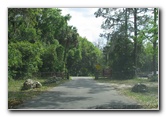 La-Chua-Trail-Paynes-Prairie-Preserve-State-Park-Gainesville-FL-001