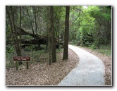 La-Chua-Trail-Paynes-Prairie-Preserve-State-Park-Gainesville-FL-004