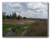 La-Chua-Trail-Paynes-Prairie-Preserve-State-Park-Gainesville-FL-011