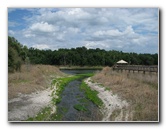 La-Chua-Trail-Paynes-Prairie-Preserve-State-Park-Gainesville-FL-012