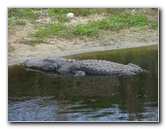 La-Chua-Trail-Paynes-Prairie-Preserve-State-Park-Gainesville-FL-022