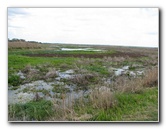 La-Chua-Trail-Paynes-Prairie-Preserve-State-Park-Gainesville-FL-057