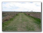 La-Chua-Trail-Paynes-Prairie-Preserve-State-Park-Gainesville-FL-058