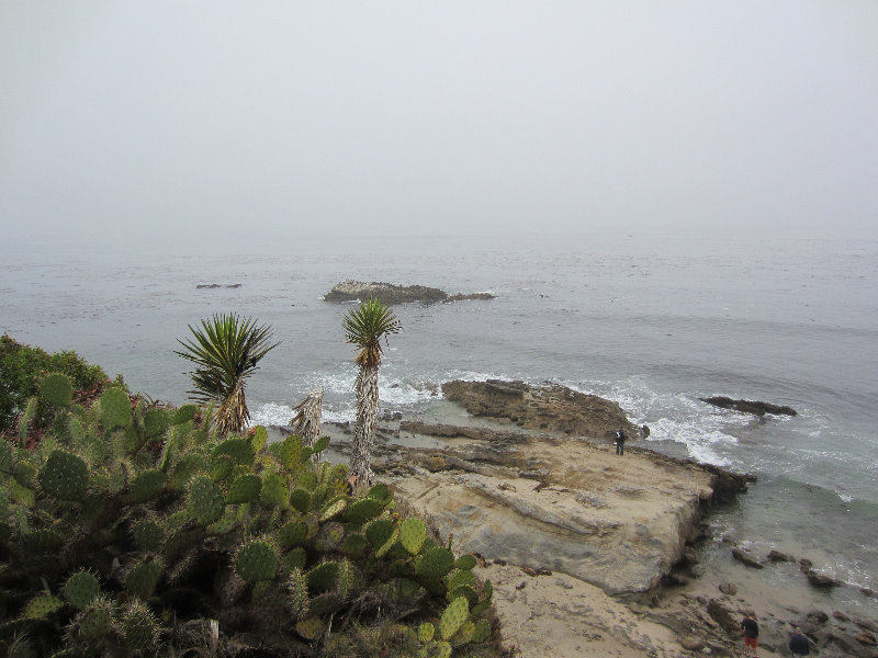 Laguna-Beach-Orange-County-CA-003