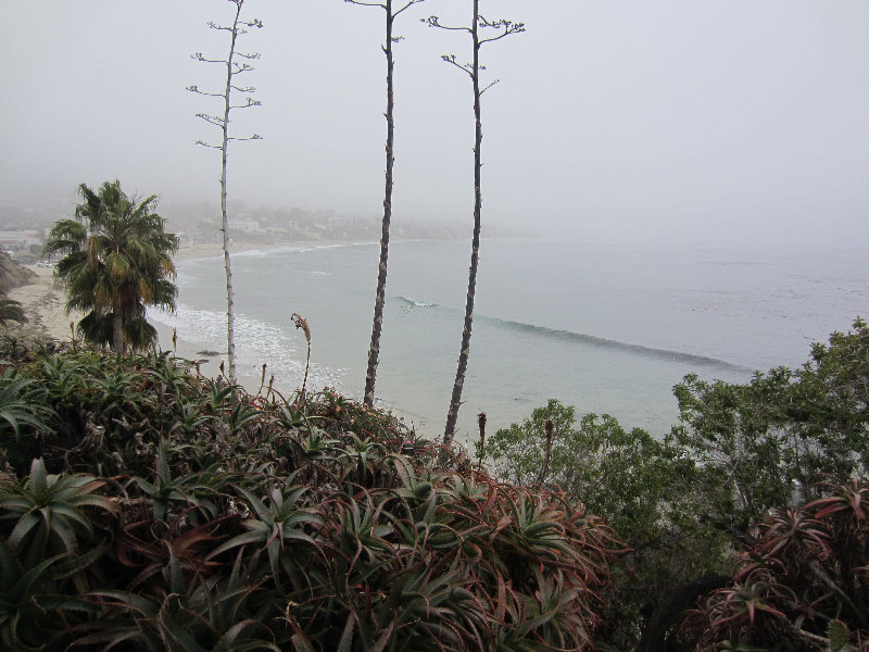 Laguna-Beach-Orange-County-CA-005