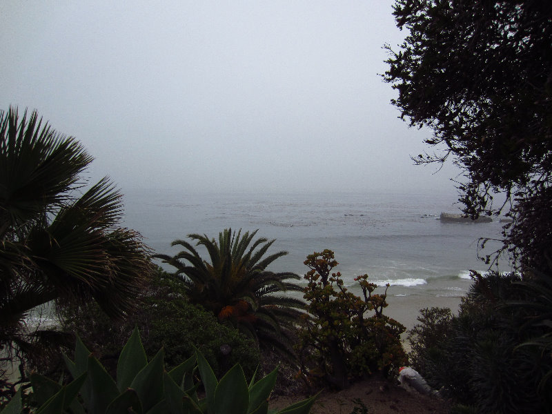 Laguna-Beach-Orange-County-CA-012
