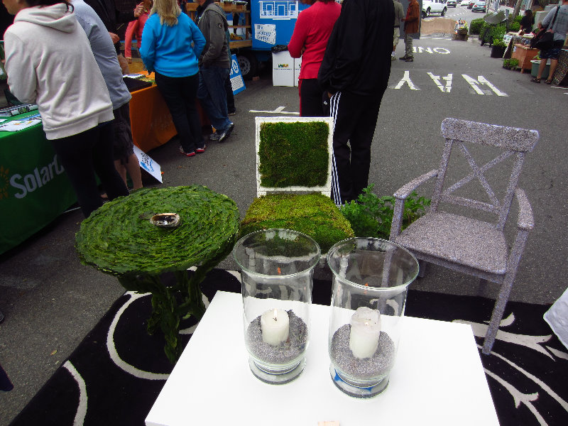 Laguna-Beach-Orange-County-CA-020