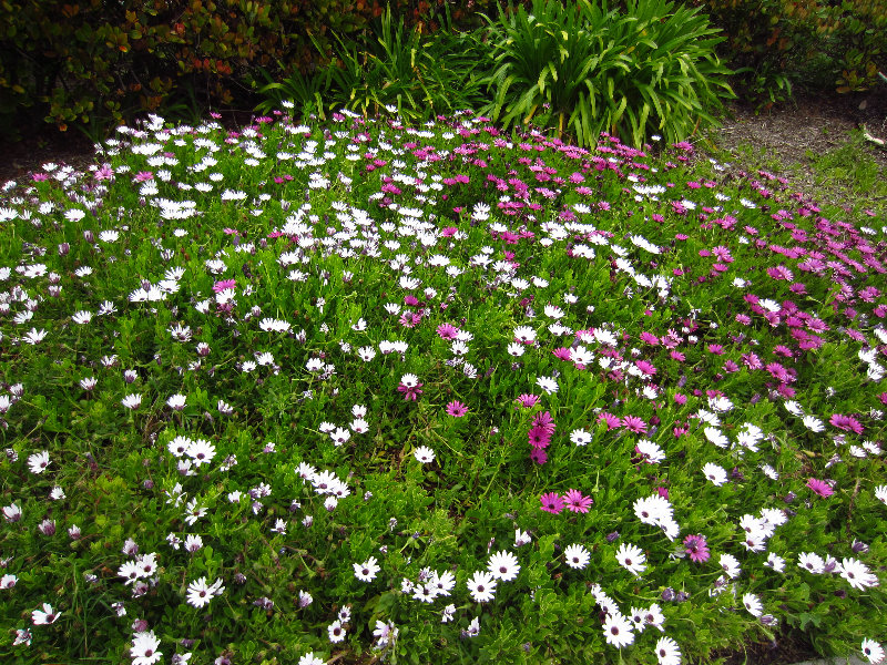 Laguna-Beach-Orange-County-CA-027