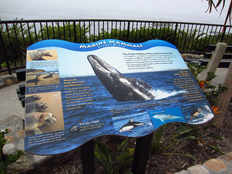 Laguna-Beach-Orange-County-CA-031