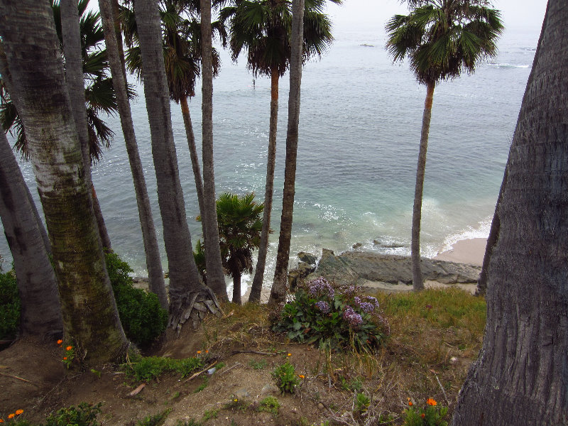 Laguna-Beach-Orange-County-CA-036