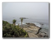 Laguna-Beach-Orange-County-CA-003