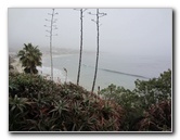 Laguna-Beach-Orange-County-CA-005