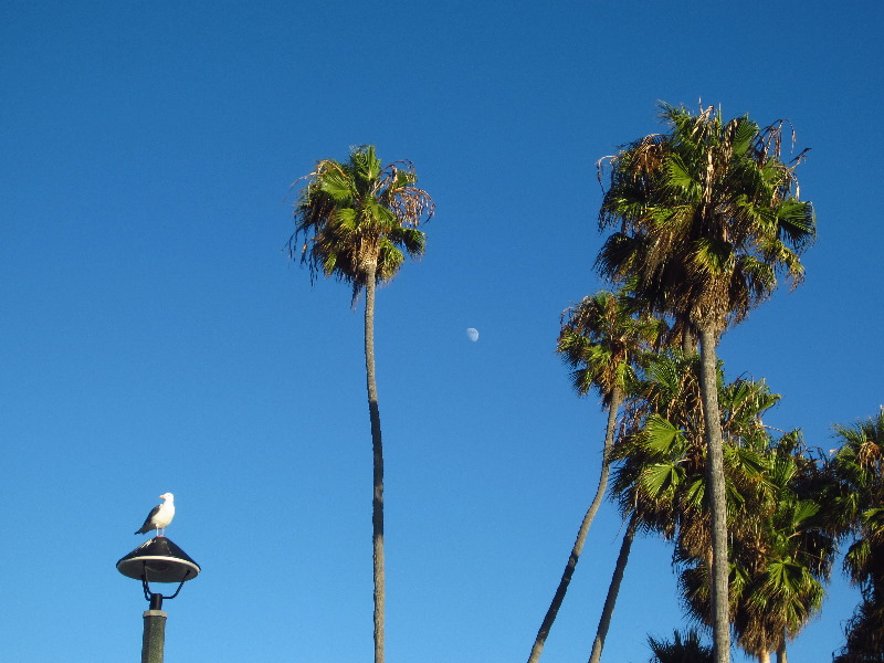 Laguna-Beach-Sunset-Heisler-Park-August-2012-Orange-County-CA-010