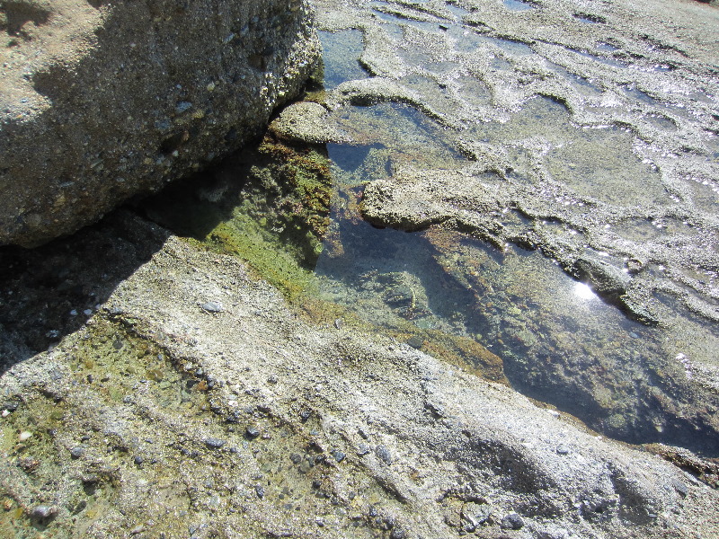 Laguna-Beach-Tide-Pools-South-Orange-County-CA-001