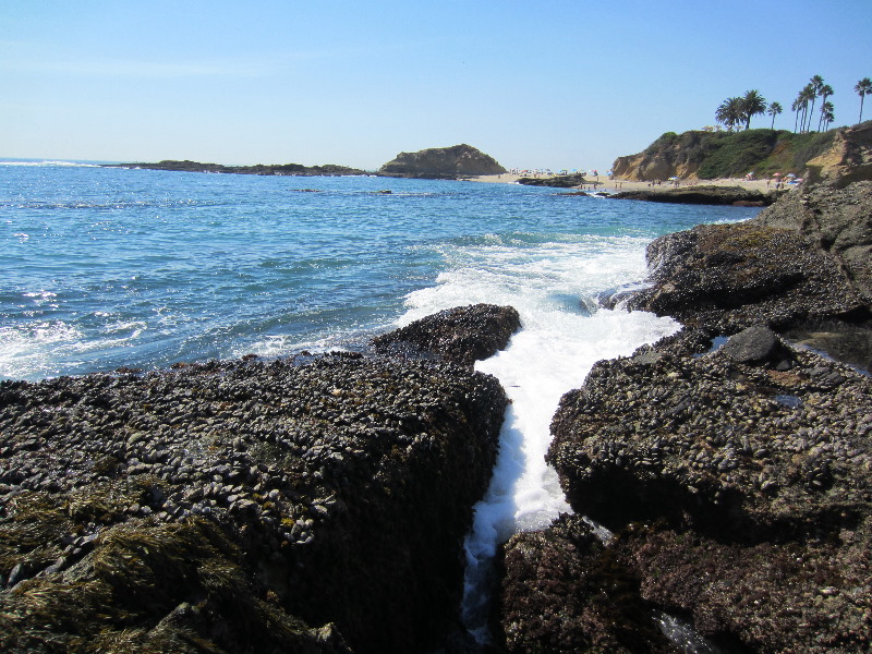 Laguna-Beach-Tide-Pools-South-Orange-County-CA-015
