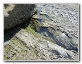Laguna-Beach-Tide-Pools-South-Orange-County-CA-001