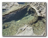 Laguna-Beach-Tide-Pools-South-Orange-County-CA-002