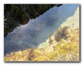 Laguna-Beach-Tide-Pools-South-Orange-County-CA-003