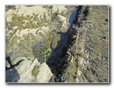 Laguna-Beach-Tide-Pools-South-Orange-County-CA-014