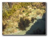 Laguna-Beach-Tide-Pools-South-Orange-County-CA-017