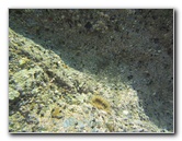 Laguna-Beach-Tide-Pools-South-Orange-County-CA-020