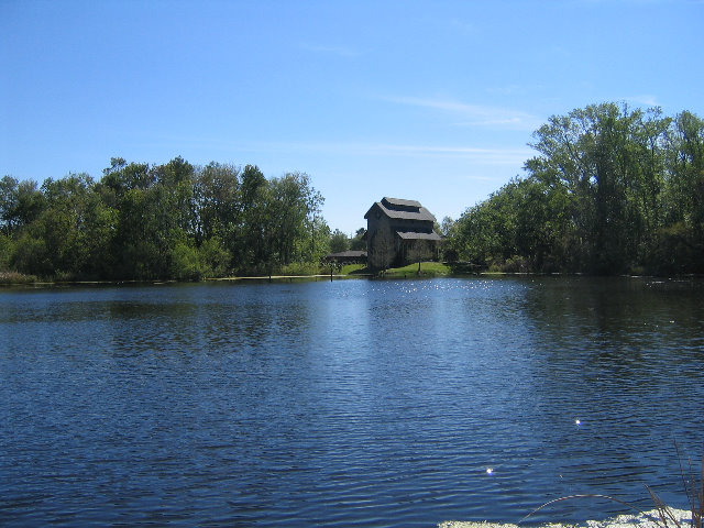 Lake-Alice-Gainesville-FL-03