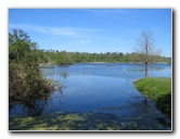 Lake-Alice-Gainesville-FL-02