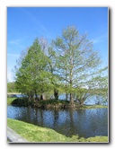 Lake-Alice-Gainesville-FL-05