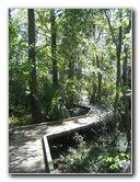 Lake-Alice-Gainesville-FL-06