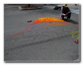 Lake-Worth-Street-Painting-Festival-010