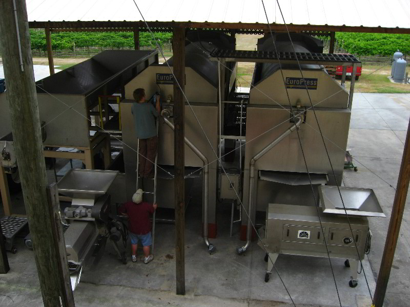 Lakeridge-Winery-Clermont-FL-024