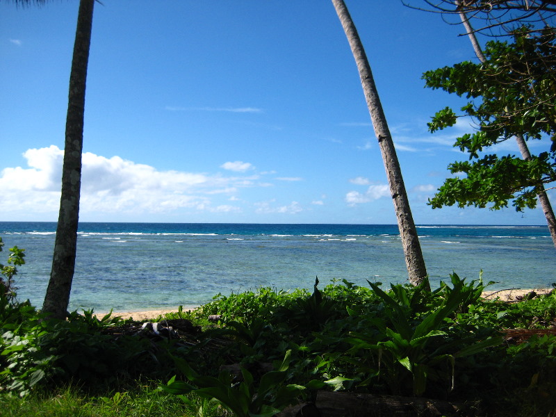 Lavena-Coastal-Walk-Bouma-National-Park-Taveuni-Fiji-003