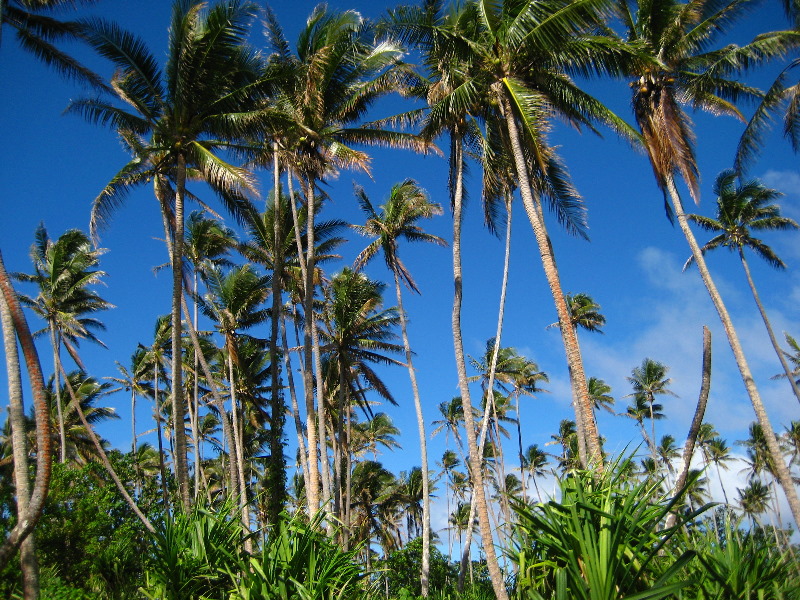 Lavena-Coastal-Walk-Bouma-National-Park-Taveuni-Fiji-004