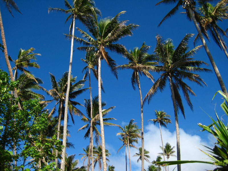 Lavena-Coastal-Walk-Bouma-National-Park-Taveuni-Fiji-005