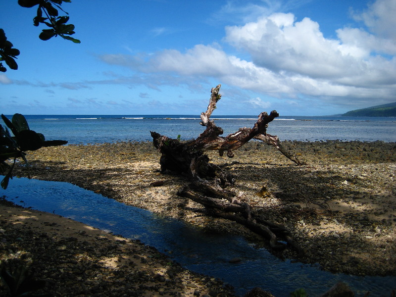 Lavena-Coastal-Walk-Bouma-National-Park-Taveuni-Fiji-019