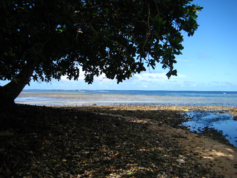 Lavena-Coastal-Walk-Bouma-National-Park-Taveuni-Fiji-022