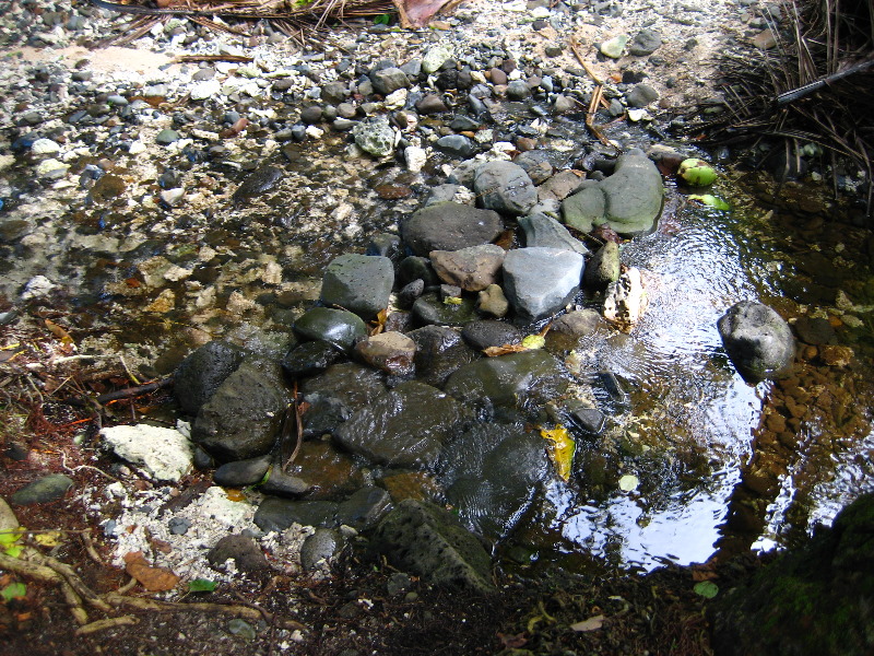 Lavena-Coastal-Walk-Bouma-National-Park-Taveuni-Fiji-030