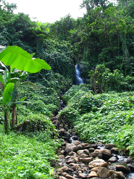 Lavena-Coastal-Walk-Bouma-National-Park-Taveuni-Fiji-031