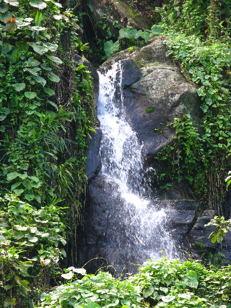 Lavena-Coastal-Walk-Bouma-National-Park-Taveuni-Fiji-032