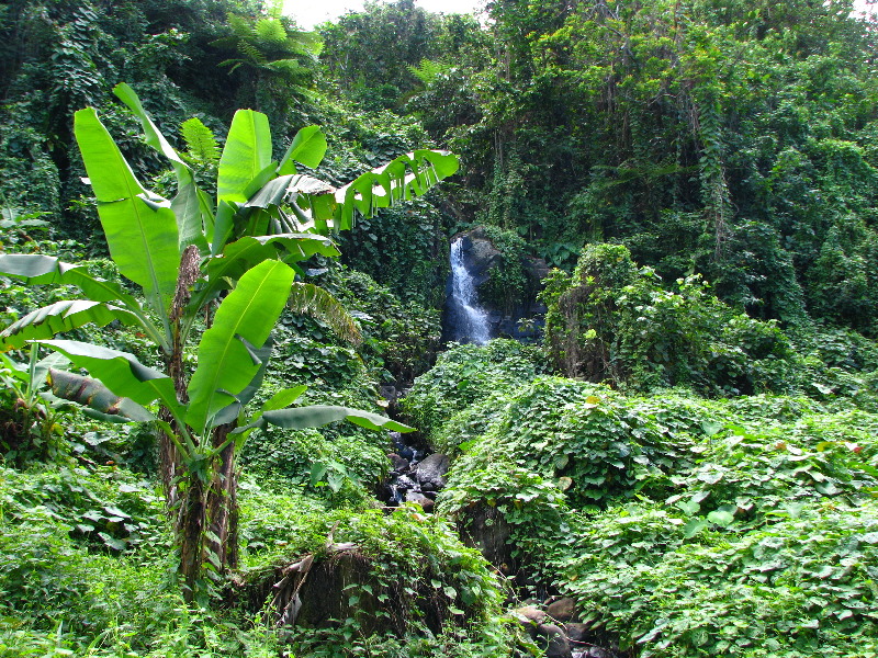 Lavena-Coastal-Walk-Bouma-National-Park-Taveuni-Fiji-033