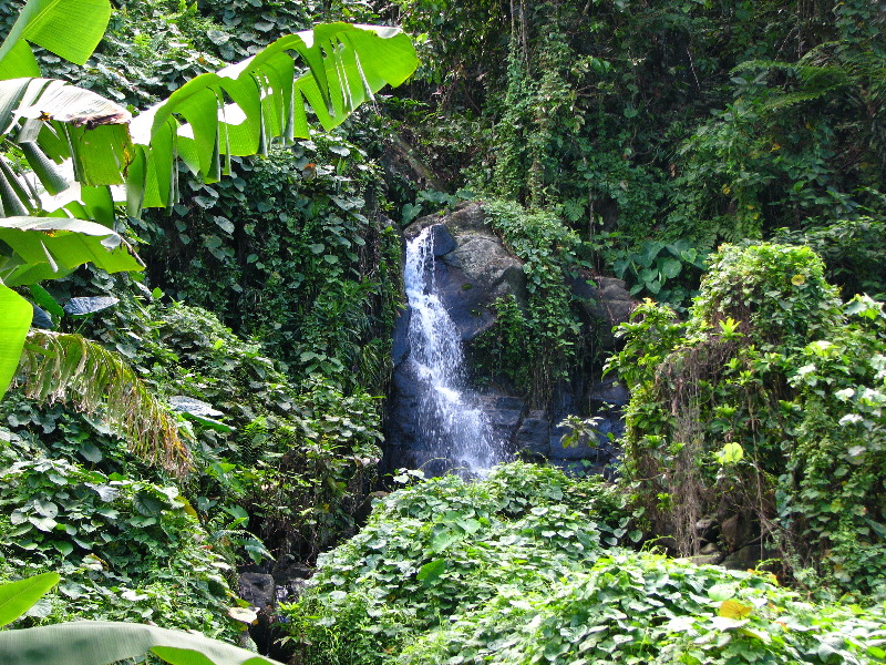 Lavena-Coastal-Walk-Bouma-National-Park-Taveuni-Fiji-034