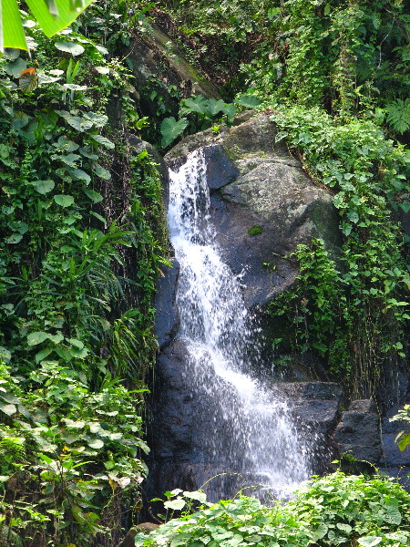 Lavena-Coastal-Walk-Bouma-National-Park-Taveuni-Fiji-035