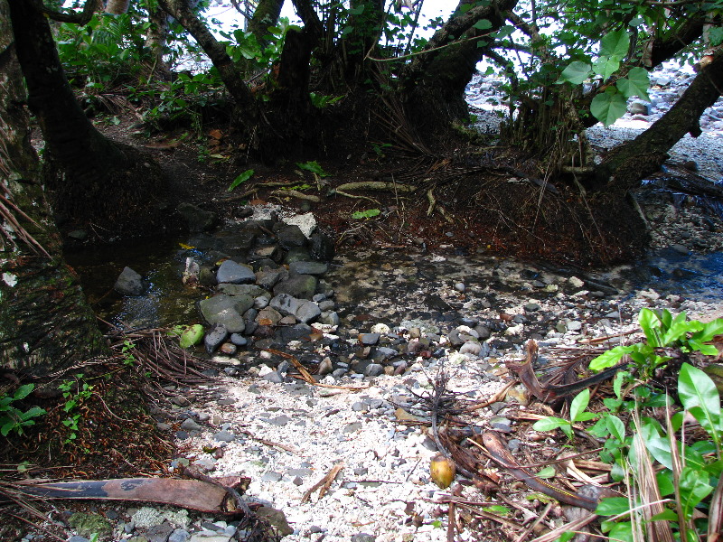 Lavena-Coastal-Walk-Bouma-National-Park-Taveuni-Fiji-036