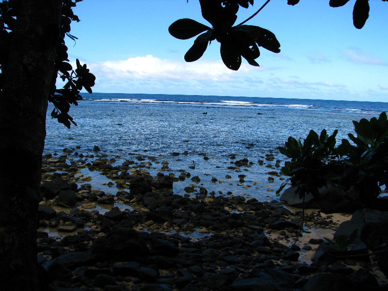 Lavena-Coastal-Walk-Bouma-National-Park-Taveuni-Fiji-037