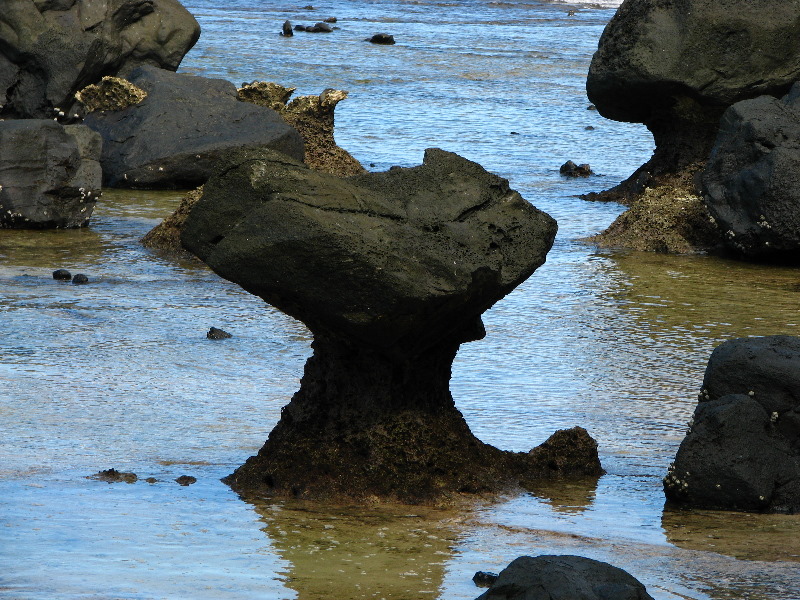 Lavena-Coastal-Walk-Bouma-National-Park-Taveuni-Fiji-043