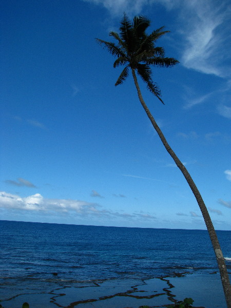 Lavena-Coastal-Walk-Bouma-National-Park-Taveuni-Fiji-045